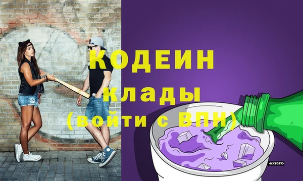 эйфоретик Алзамай