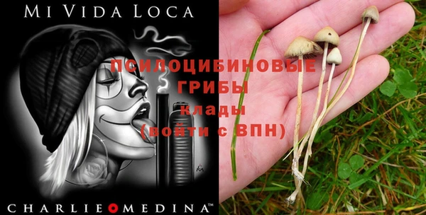 прущая мука Абаза