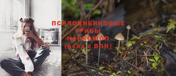 МДПВ Пролетарск