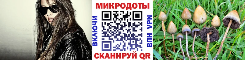 Псилоцибиновые грибы ЛСД  что такое наркотик  Зея 
